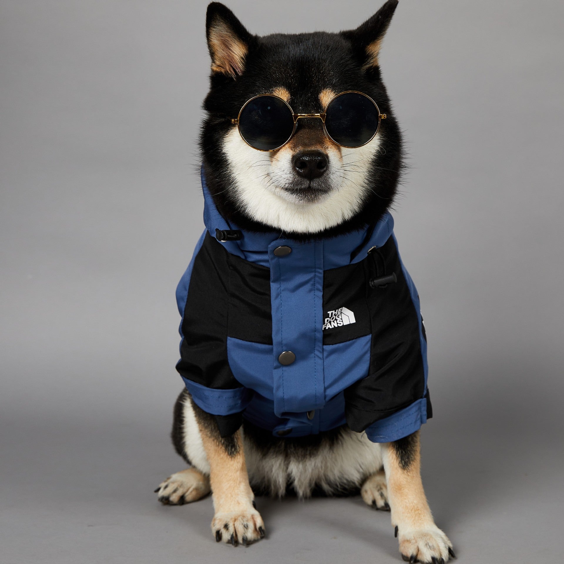 Windproof and Rainproof Large Dog Raincoat Pet Shell Jacket