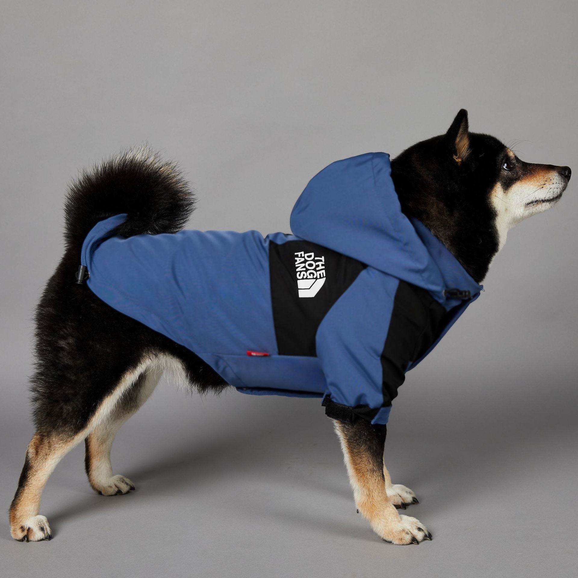 Windproof and Rainproof Large Dog Raincoat Pet Shell Jacket