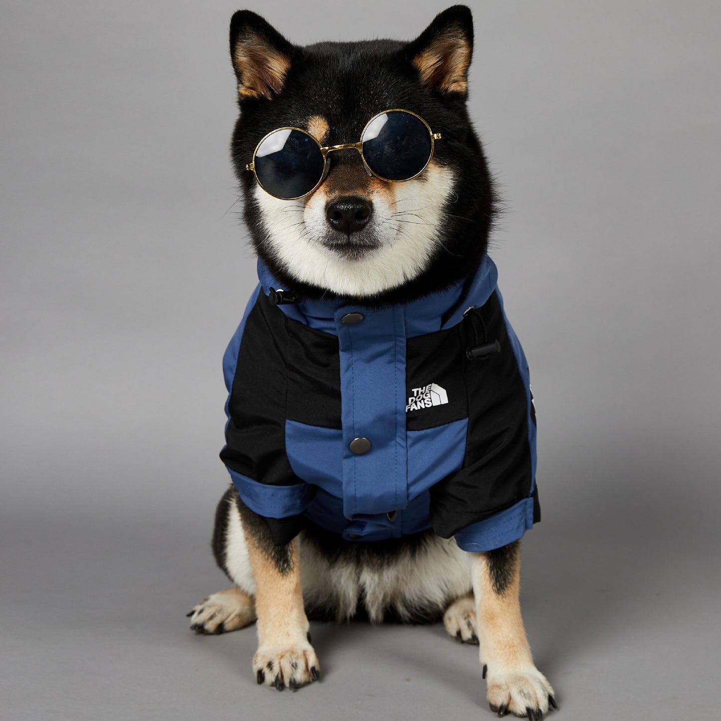 Windproof and Rainproof Large Dog Raincoat Pet Shell Jacket