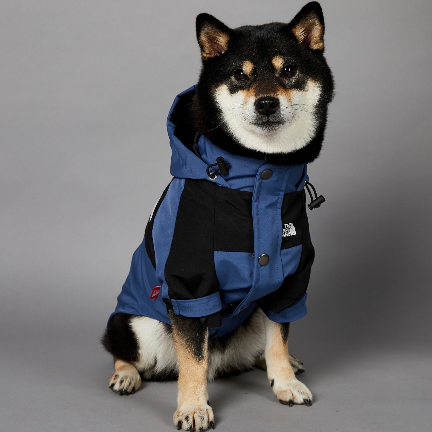 Windproof and Rainproof Large Dog Raincoat Pet Shell Jacket