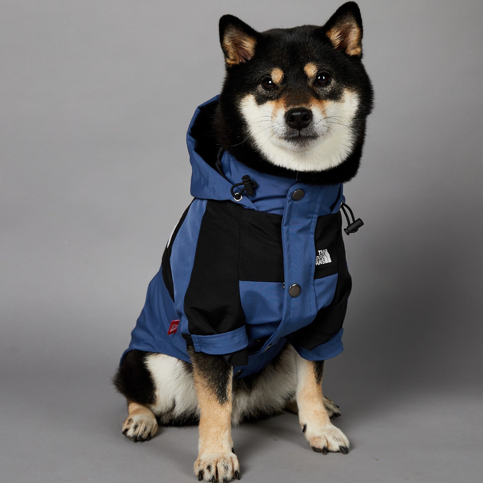 Windproof and Rainproof Large Dog Raincoat Pet Shell Jacket